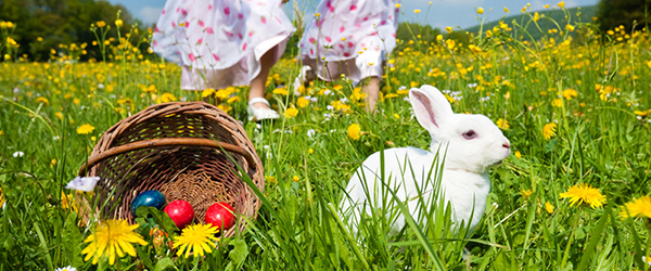 Easter (Bunny Basket)